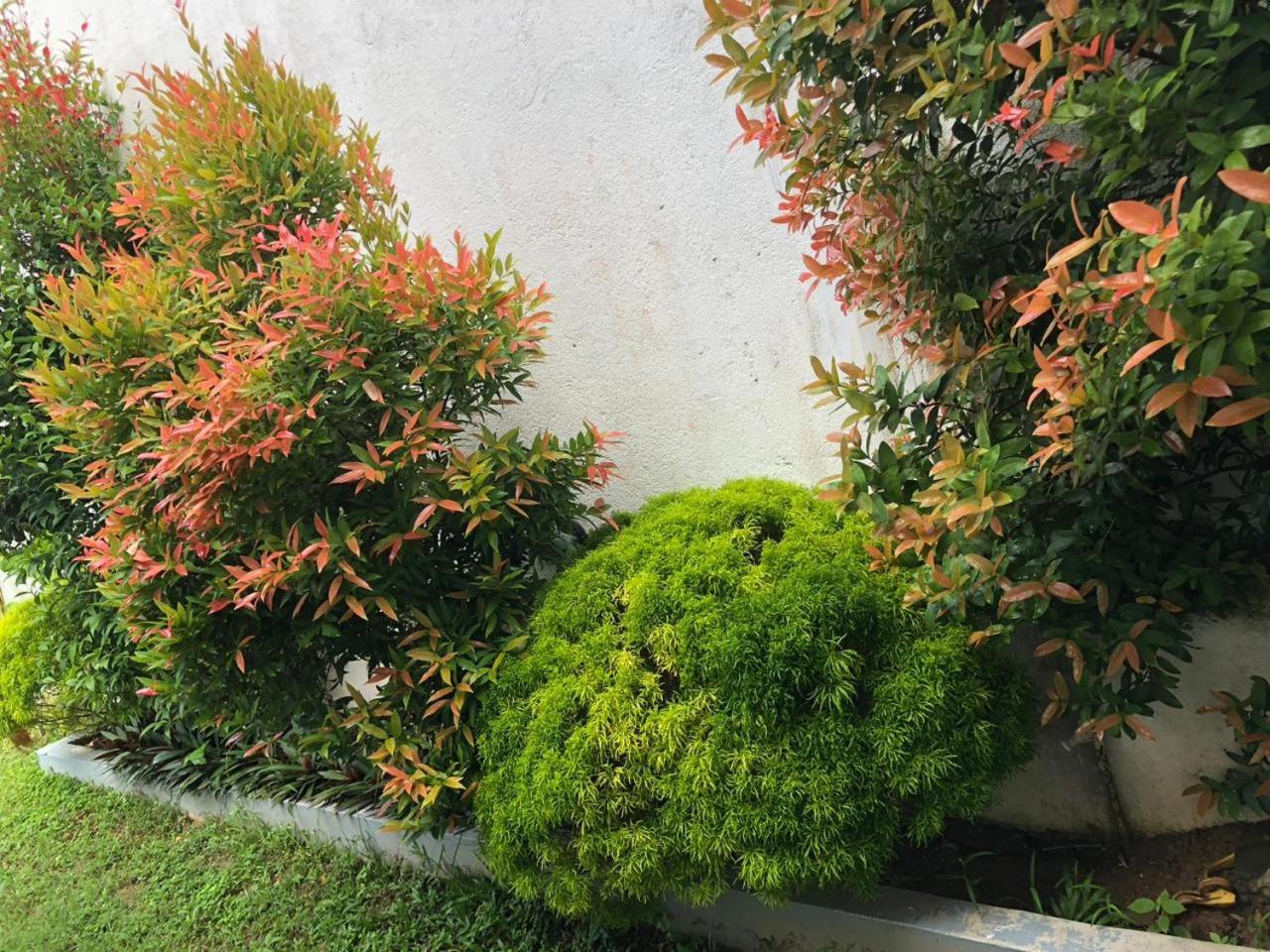 Vidushi Home Minuwangoda Εξωτερικό φωτογραφία