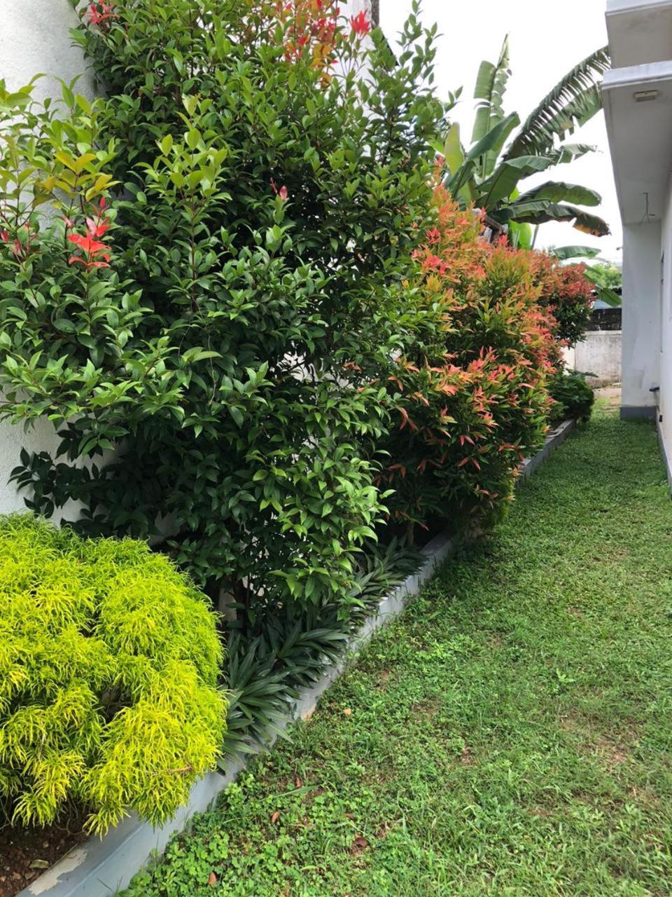 Vidushi Home Minuwangoda Εξωτερικό φωτογραφία